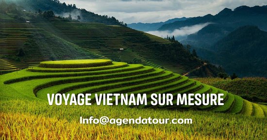 Où aller en mai au Vietnam pour les rizières en terrasses