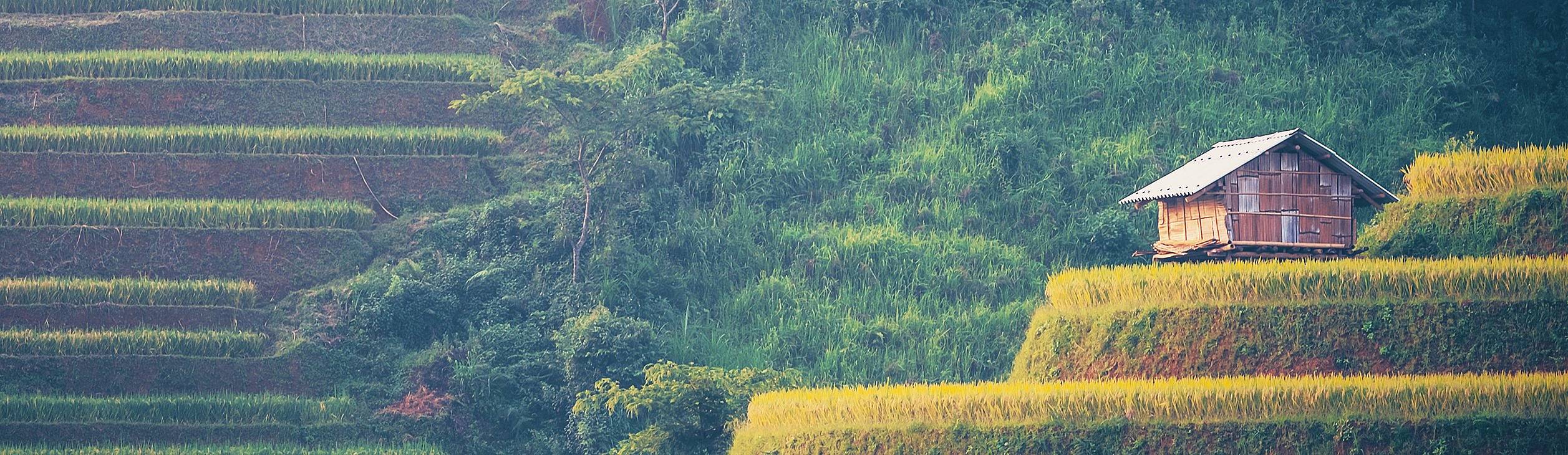 Où partir au Vietnam en Mai?