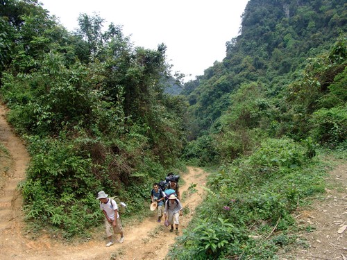 Trekking au Vietnam - Une Aventure Inoubliable dans la Nature