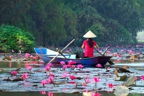 Avis de Voyage au Vietnam du Nord au Sud du groupe de Mr DAGOT GARNIER