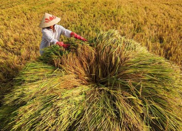 Voyage Photo au Vietnam