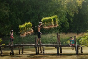 Circuit Nord - Ouest Vietnam 15 jours (3 jours de trek)