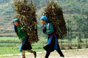 Découverte approfondie du Vietnam en 5 semaines
