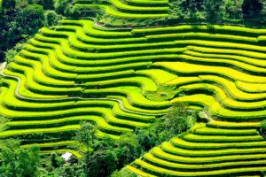 Extraordinaire nord Vietnam 16 jours