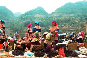 Le Vietnam du Nord au Sud 26 jours
