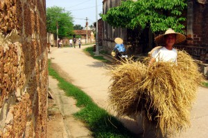 Long circuit Vietnam 62 jours