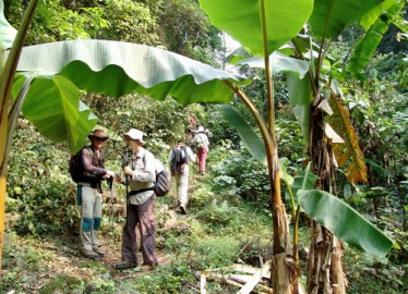 Trekking au Vietnam