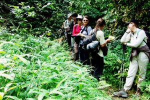 Trekking Vietnam (6 jours à Ha Giang)