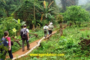 Trekking Vietnam (Trek 2 jours à Sapa)