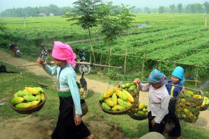Vietnam authentique 9 jours