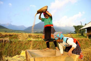 Vietnam Nord autrement 24 jours