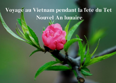 Voyage au Vietnam pendant la fête du Têt, Nouvel An lunaire