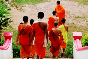 Voyage Vietnam Laos 15 Jours, 5 jours de Trek à Pu Luong Vietnam