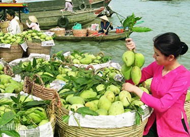 Voyages au Sud Vietnam