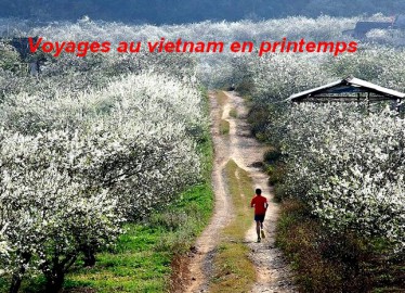 Voyages au Vietnam en printemps