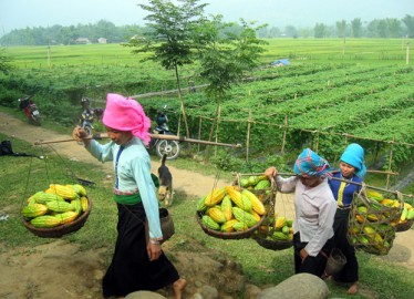 Voyages Vietnam authentiques