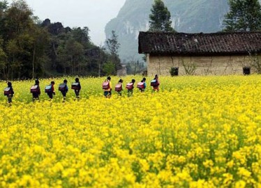 Voyages Vietnam en famille