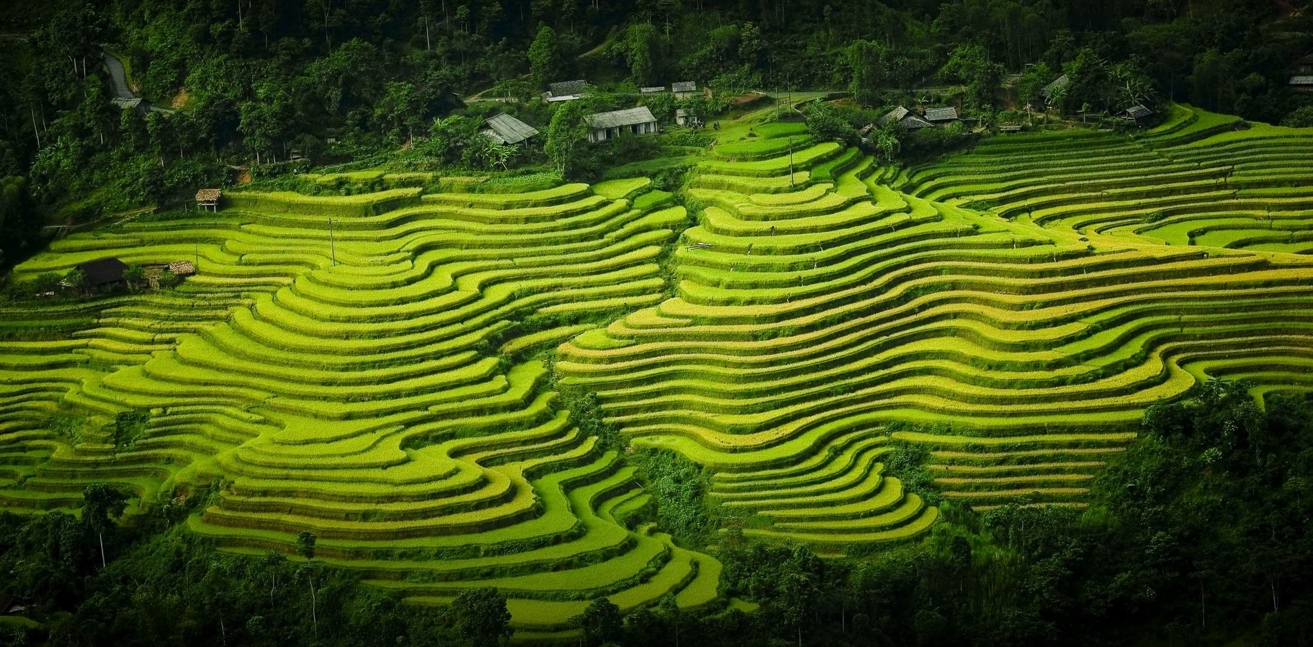 Blog de voyage au Vietnam