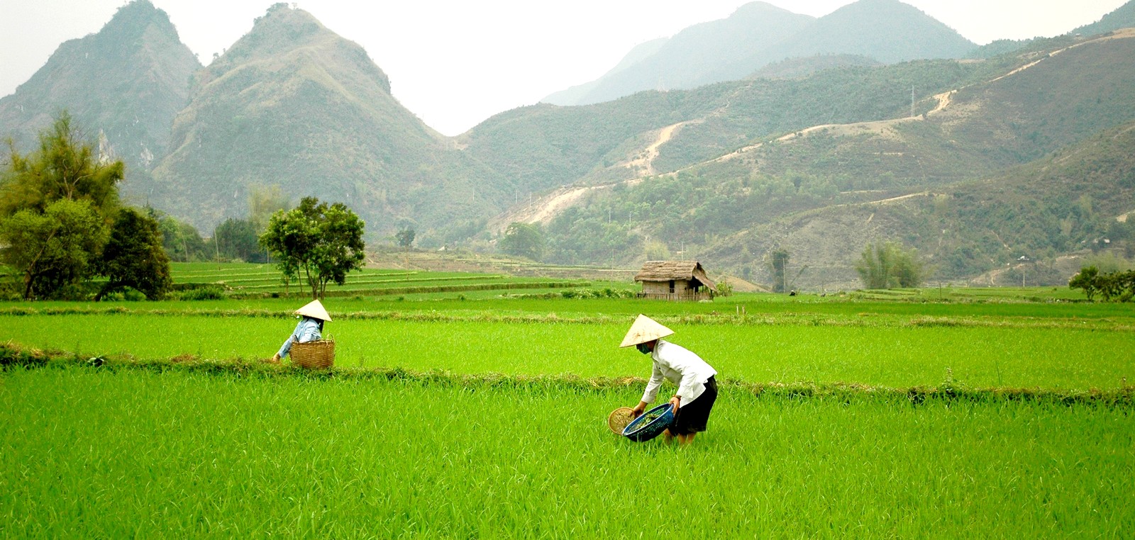 Voyage Vietnam authentique