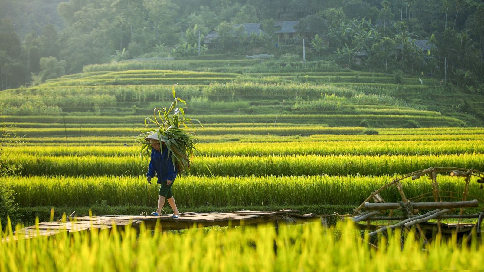 Voyage au Nord Vietnam