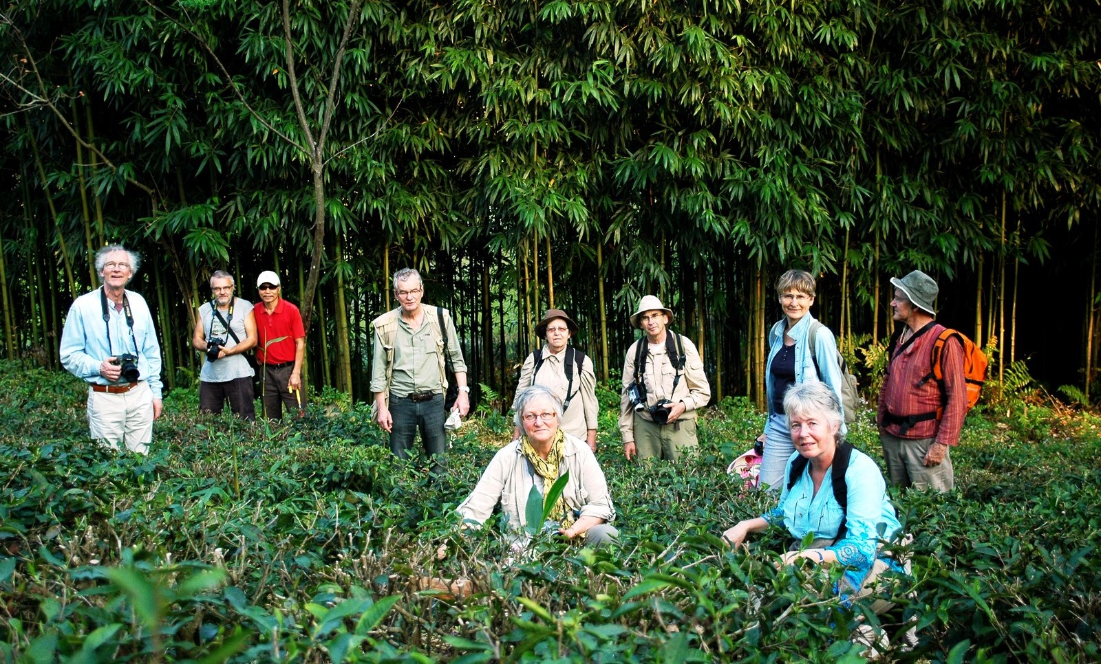 Temoignages de voyageurs au Vietnam