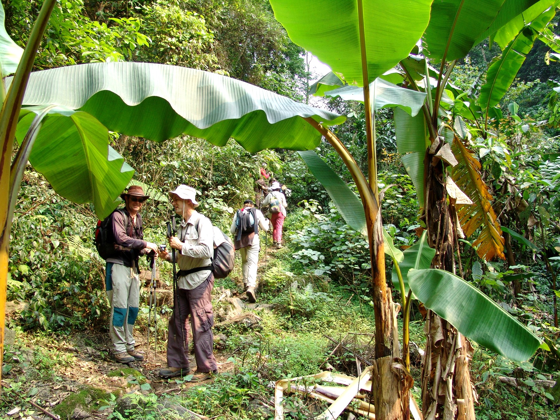 Trek Vietnam
