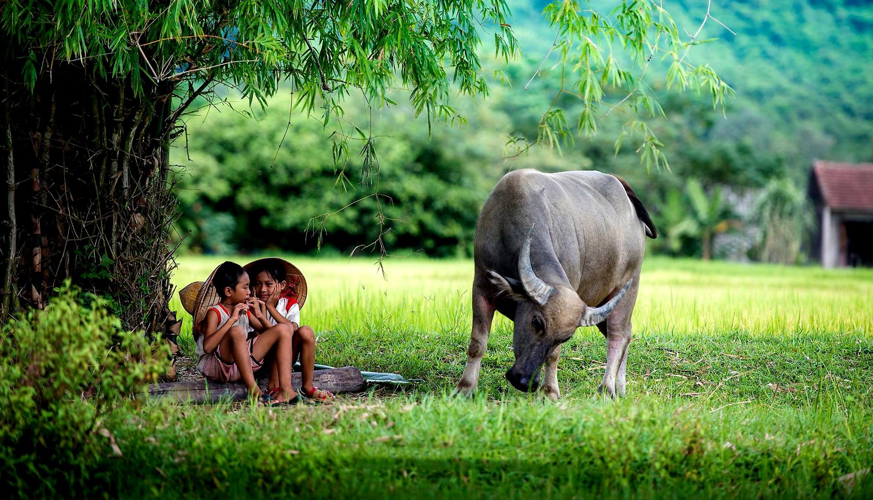 Sud Vietnam
