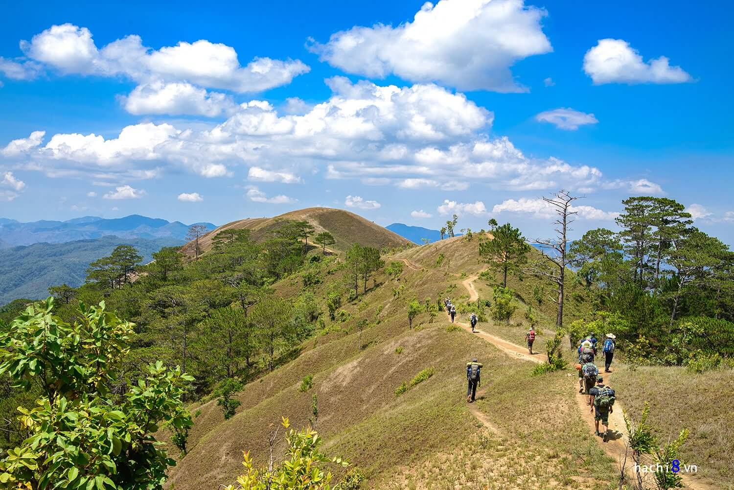 beaute-de-sapa-dans-la-marche-6-jours-de-trek