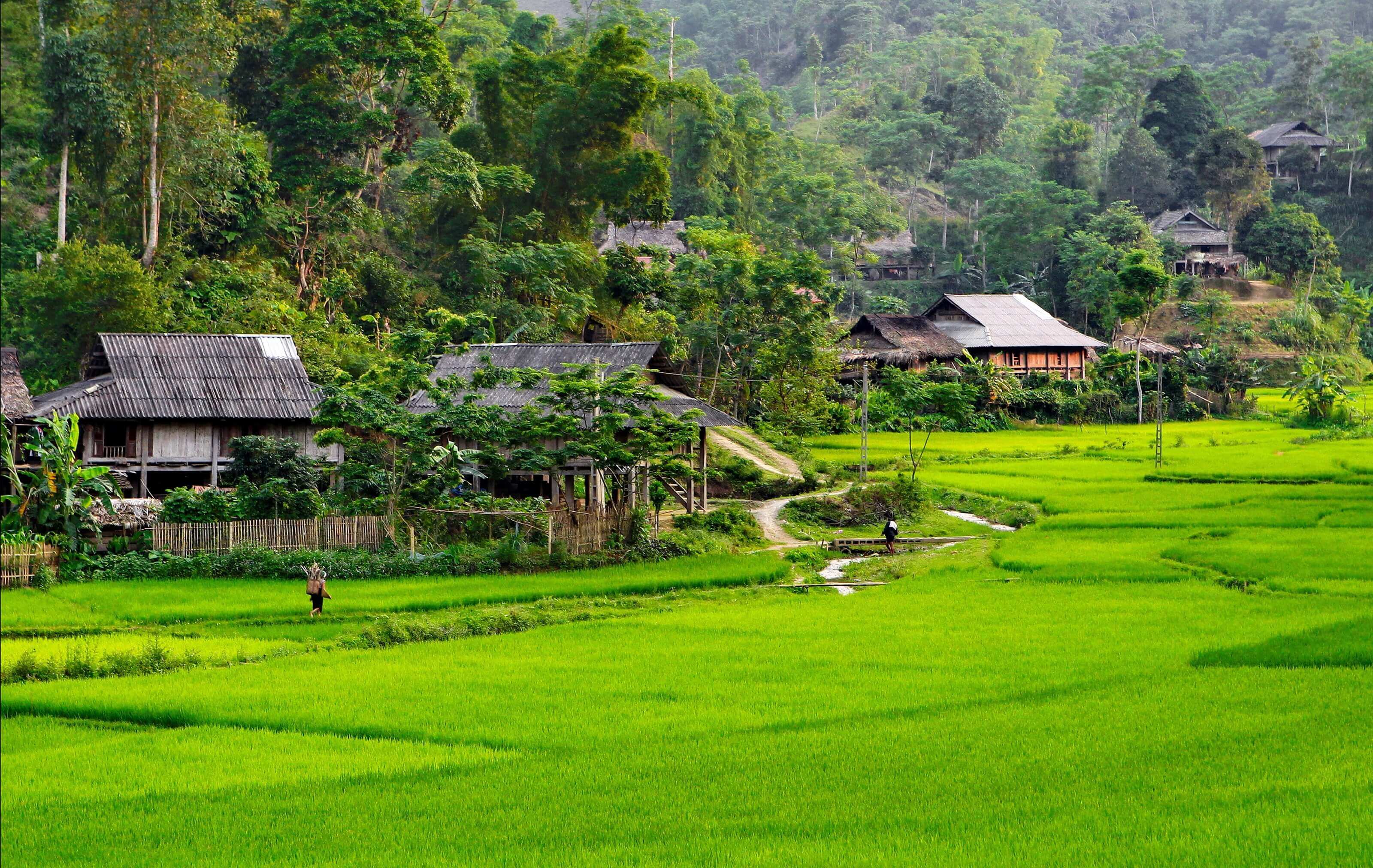circuit-nord---ouest-vietnam-15-jours---3-jours-de-trek-