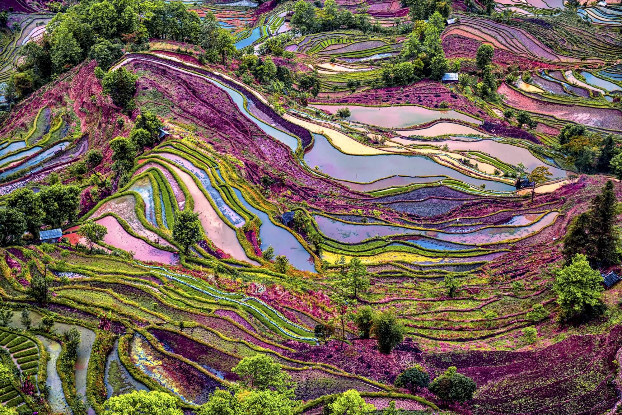 circuit-vietnam-chine-16-jours-1