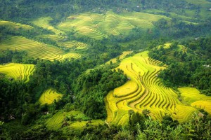 Découverte du Nord Vietnam 16 jours/ 15 nuits