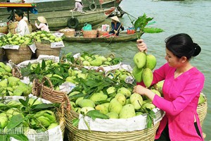 Le Sud Vietnam et plage de Phu Quoc 12 jours