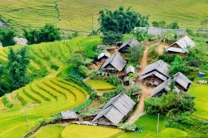 Nord -Ouest Vietnam authentique 12 jours (Visite du marché de l’amour Moc Chau)