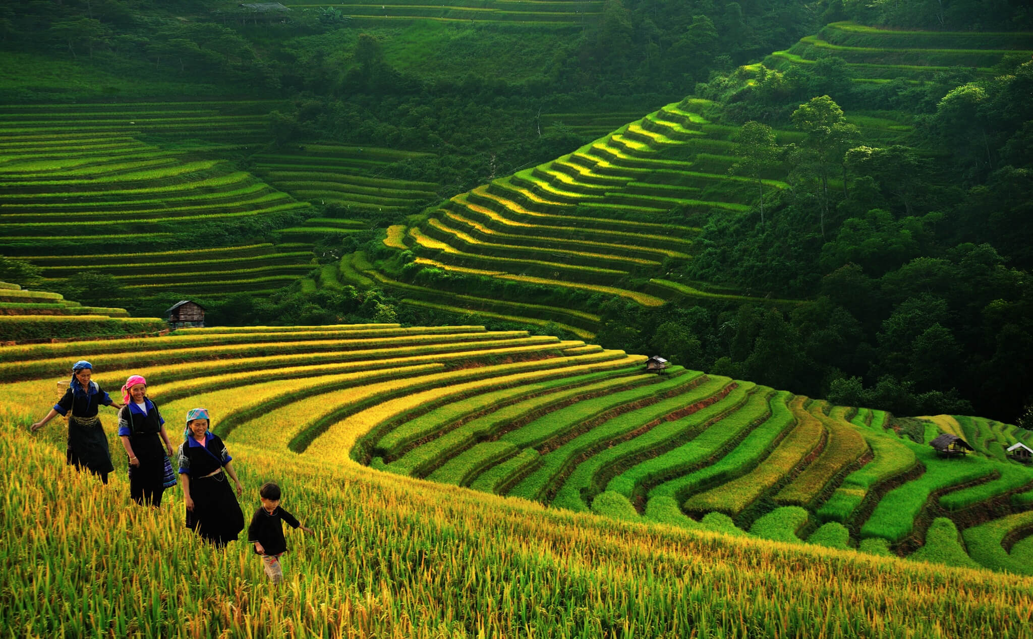 trekking-vietnamtrek-2-jours-a-sapa-1