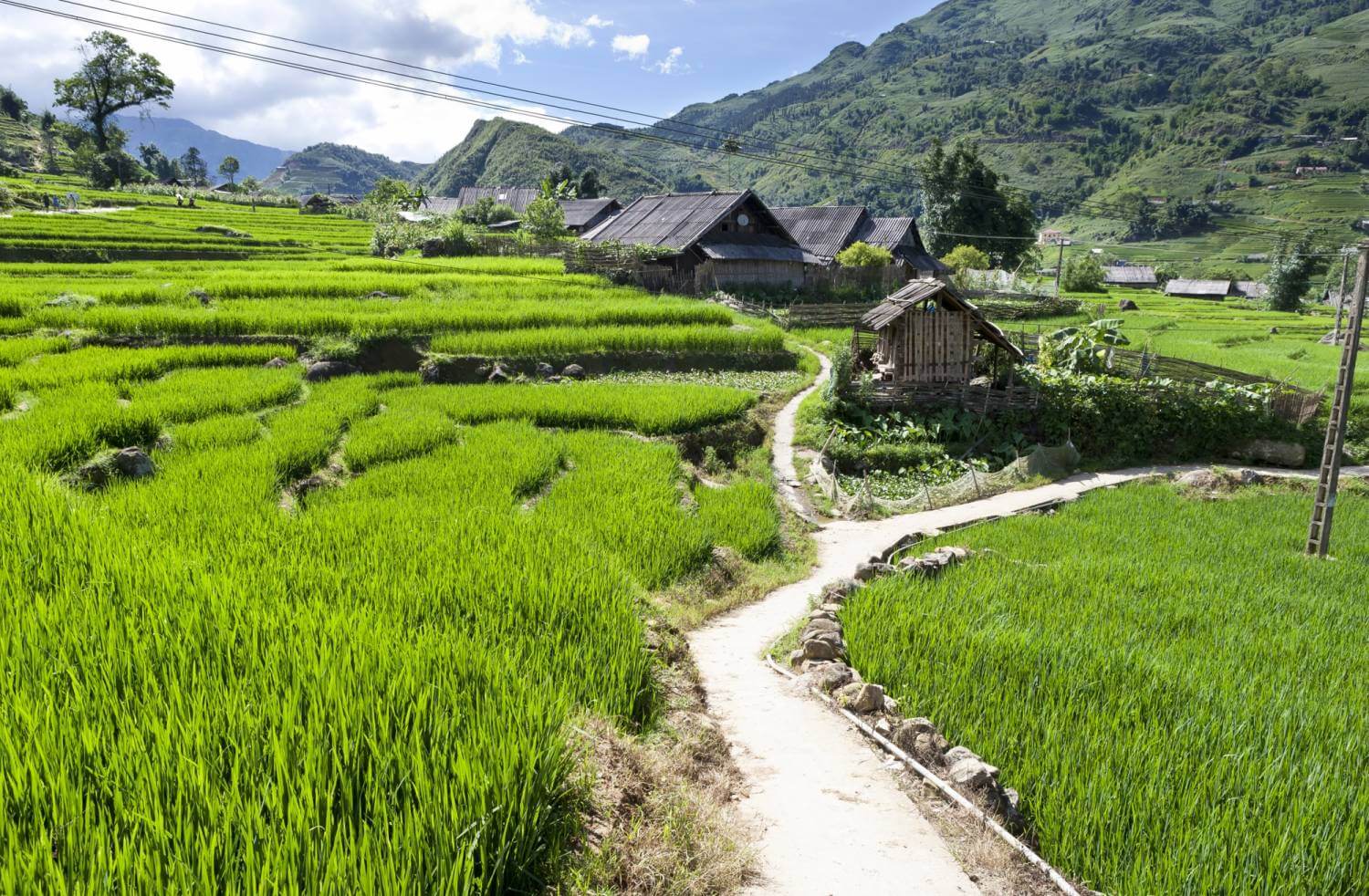 vallee-du-nord-au-rive-mekong-24-jours-1