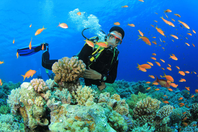 Séjours et vacances au Vietnam en plongée sous marine