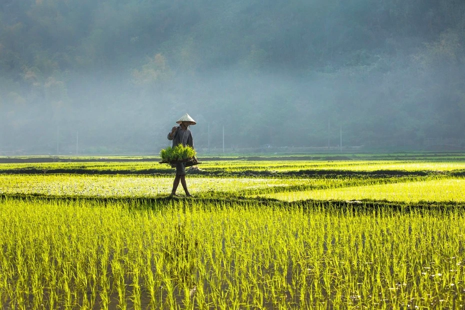 Agence voyage Vietnam avis AGENDA TOUR VIETNAM
