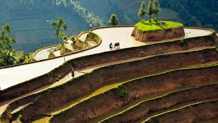 Choisir une Agence de voyage au Vietnam à recommander