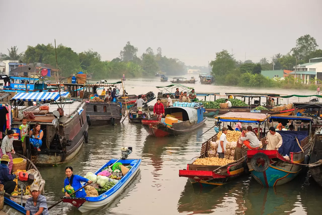<strong>Circuit Vietnam</strong> Une Expérience Inoubliable