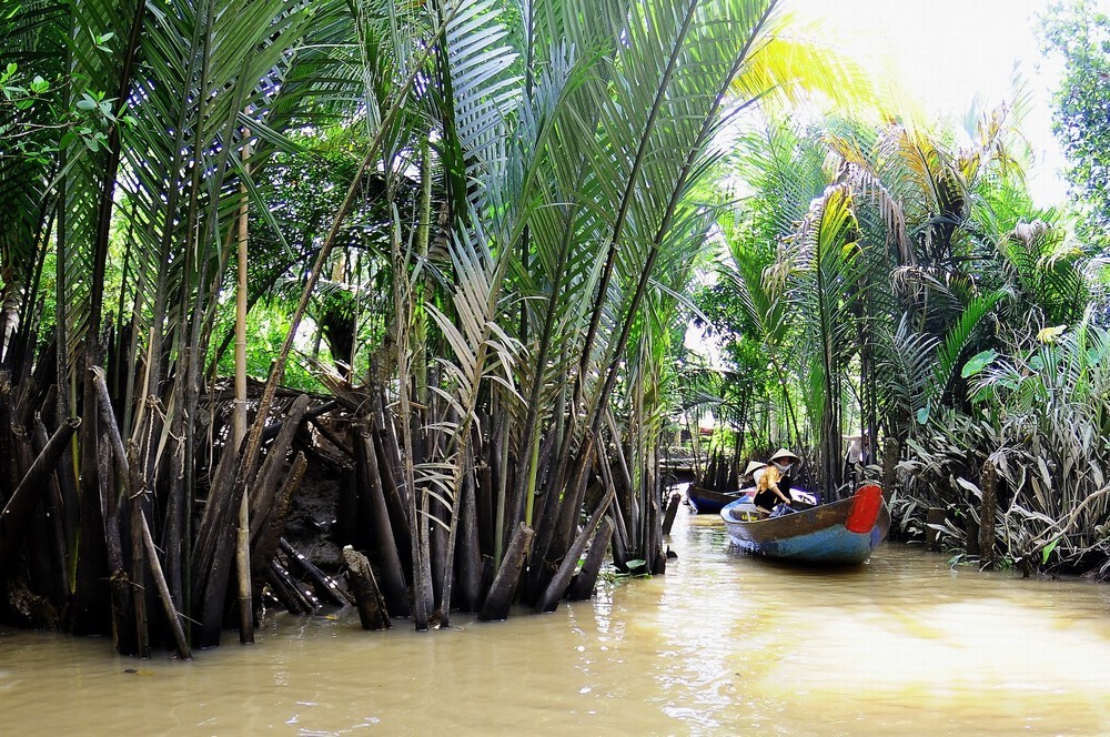 <strong>Circuit Vietnam</strong>: Une Expérience Inoubliable