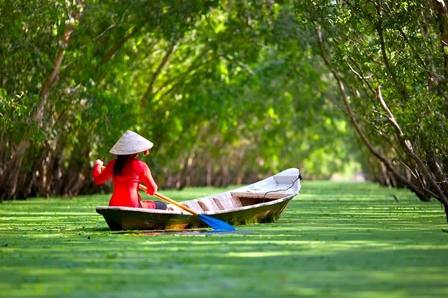Delta Mékong Vietnam  Un Voyage au Coeur de la Vie Fluviale