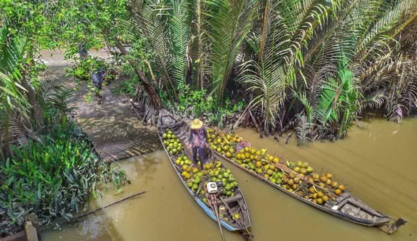Delta Mékong Vietnam  Un Voyage au Coeur de la Vie Fluviale