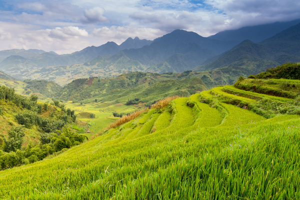 Émerveillement et découvertes lors de vos voyages autours de Hanoi