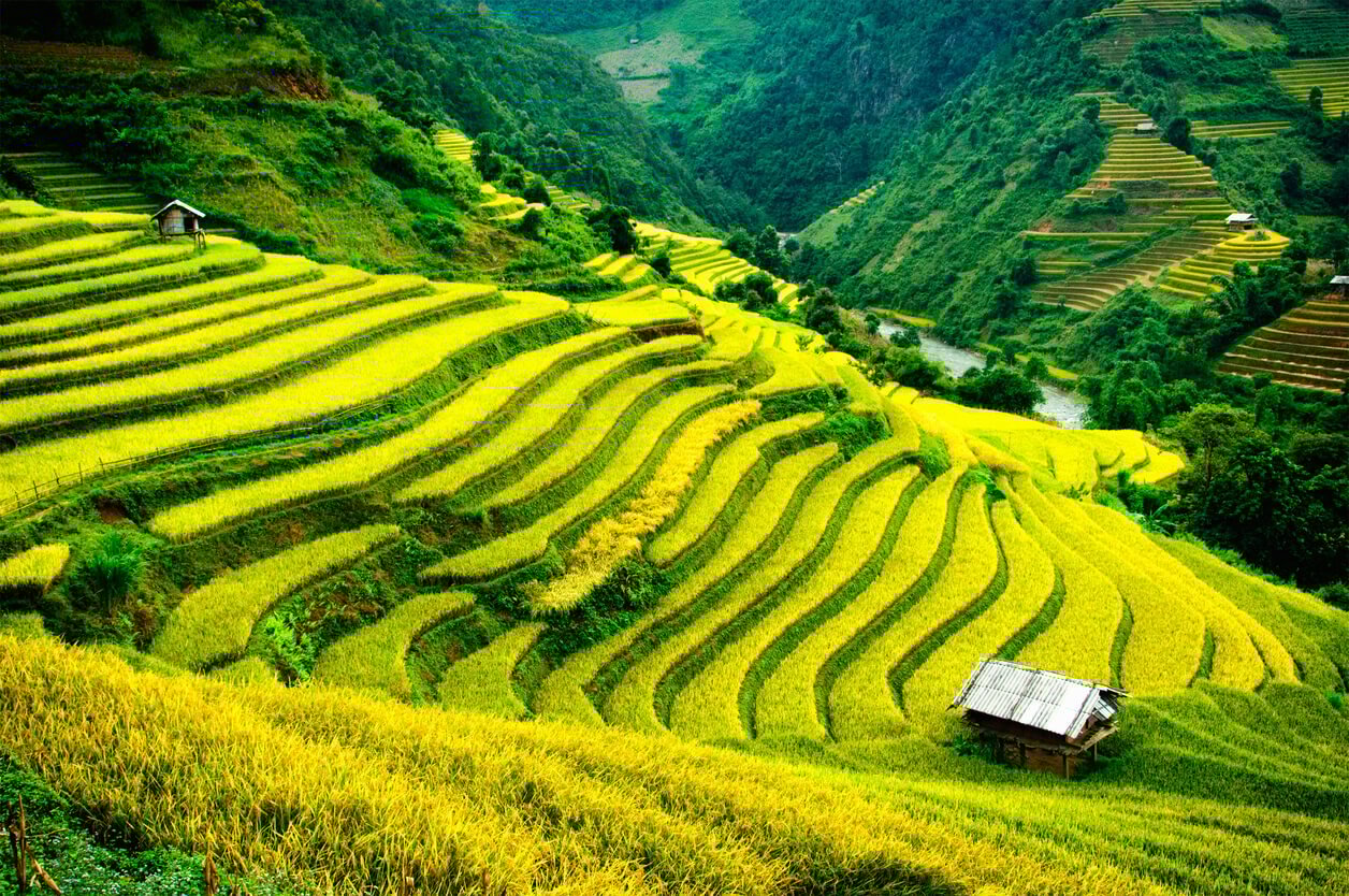 Évaluer les risques de partir au Vietnam en août