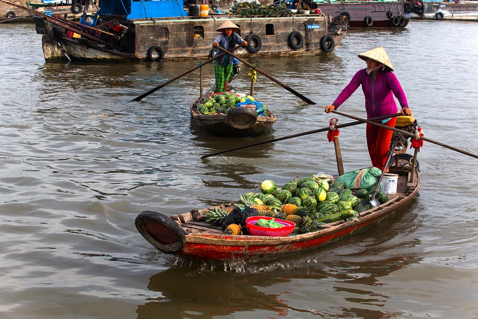 Faut-il voyager au Vietnam de Janvier à Avril ? Février, Mars ?