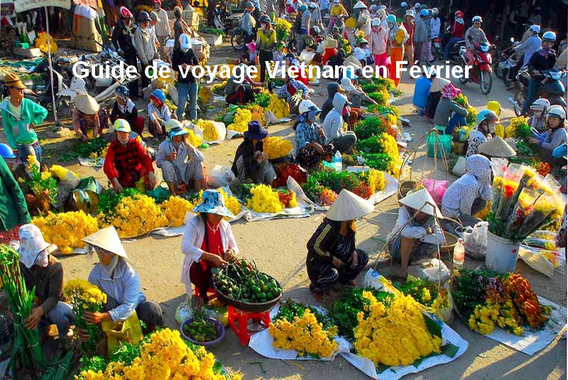 Faut-il voyager au Vietnam de Janvier à Avril ? Février, Mars ?