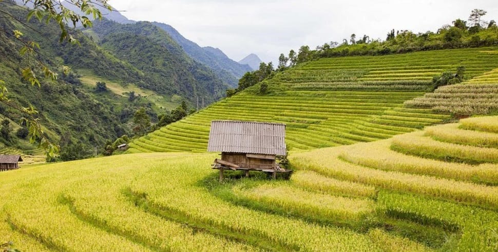 Faut-il visiter le Nord Vietnam en Été ?