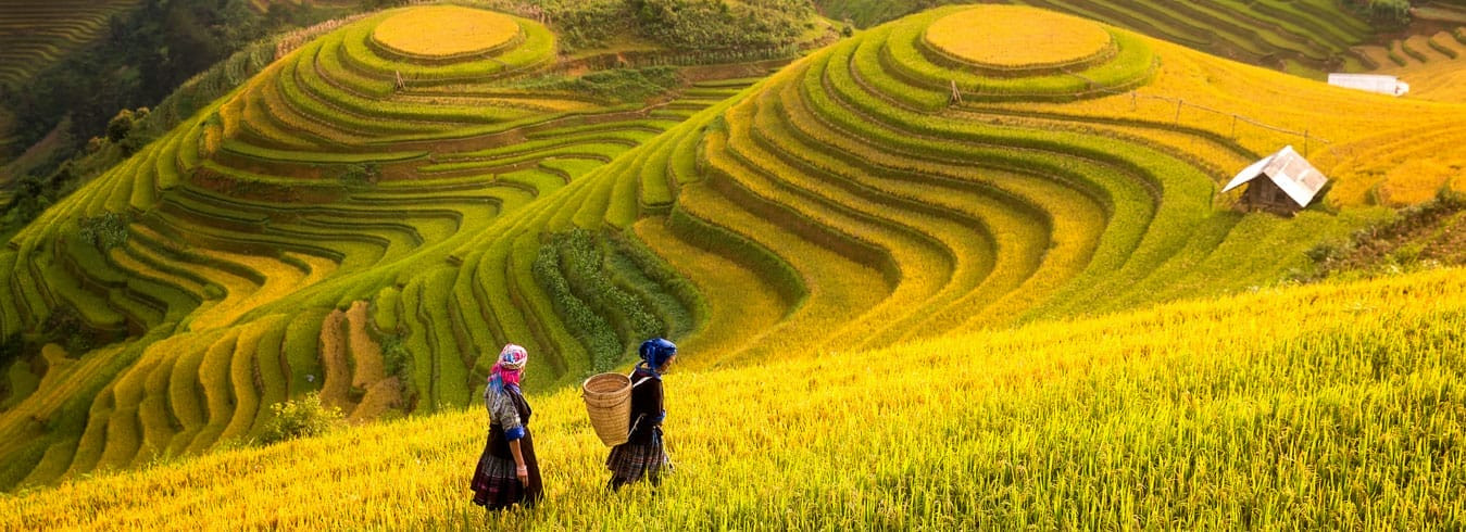 Guides et conseils de voyage Vietnam en automne
