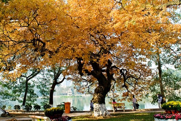 Guides et conseils de voyage Vietnam en automne