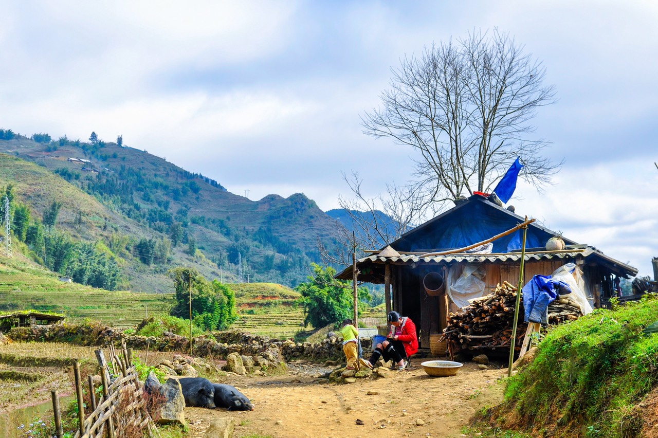 Guides et conseils de voyage Vietnam en automne